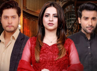 Muqadar ka Sitara Asks Questions with No Answers