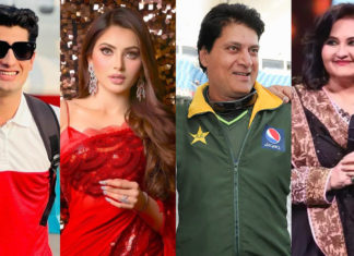 Stepping into the Glamorous World of Indo-Pak Couples