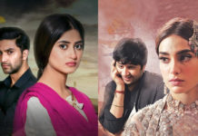 5 Best Pakistani Dramas That Rubbish the ‘Log Kya Kahaingey’ Narrative