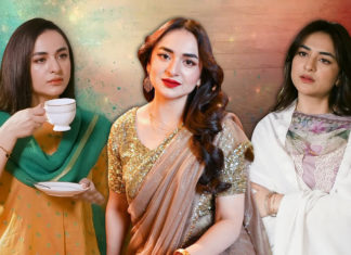 Why Does Tere Bin’s Meerab Refuse to Budge?
