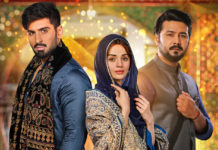 Qalandar Finishes on a High Note Despite Being Just Another Love Story