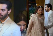 Murtasim, Meerab, or Haya: Who’s the Most Toxic Character in Tere Bin?
