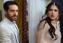 Unexpected Marital Rape Scene in Tere Bin Hits a Nerve with Audience