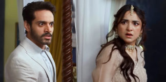 Unexpected Marital Rape Scene in Tere Bin Hits a Nerve with Audience