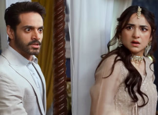 Unexpected Marital Rape Scene in Tere Bin Hits a Nerve with Audience