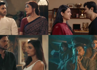 Teri Meri Kahaniyaan’s Trailer Raises Expectations for Eid Release