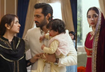Where Does Tere Bin Rank Among the Best Pakistani Dramas?