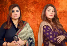 Here Is Why No One Can Play Toxic Female Characters Better Than Javeria Saud
