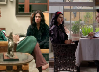 Have Pakistani Dramas Failed At Setting Patient-Therapist Relationships?