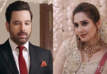 Jaise Aapki Marzi: A Gripping Exploration of Narcissism in Marriage