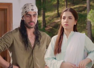 Khushhal and Dananeer: Are These Young Faces Perfect For Muhabbat Gumshuda Meri?