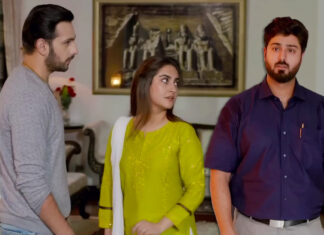 Tere Ishq Ke Naam: Will Khursheed and Rutba’s Love Survive the Storm?