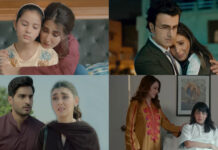 Daurr Finale: A Rushed Conclusion Leaves Viewers Divided