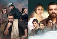 6 Pakistani Dramas We Wished Had A Different Ending