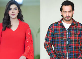 Nida Yasir Holds Waqar Zaka Accountable For Attempting To Have Her Fired