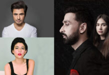 Is Grey Based On Ali Zafar And Meesha Shafi Case?