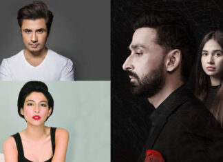 Is Grey Based On Ali Zafar And Meesha Shafi Case?