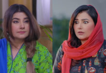 Javeria Saud’s Impactful Journey: From ‘Yeh Zindagi Hai’ To ‘Mohabbat Satrangi’