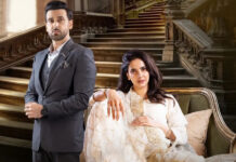 Pagal Khana: A Riveting Dive Into Mental Health With Saba Qamar And Sami Khan’s Grand Comeback