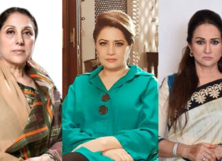 Beyond Stereotypes: The Complexities Of Motherhood In Pakistani Dramas