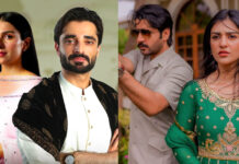 5 Best On-Screen Couples From Current Pakistani Dramas