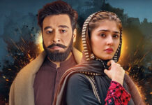 The Burning Mystery: How Many Episodes Will Khaie Have?