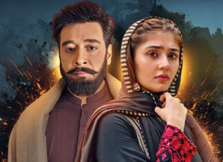 The Burning Mystery: How Many Episodes Will Khaie Have?