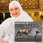 17859192252269535_galaxylollywood