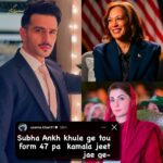 17935796105932006_galaxylollywood