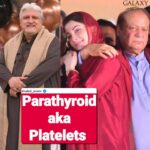 17989697267737353_galaxylollywood